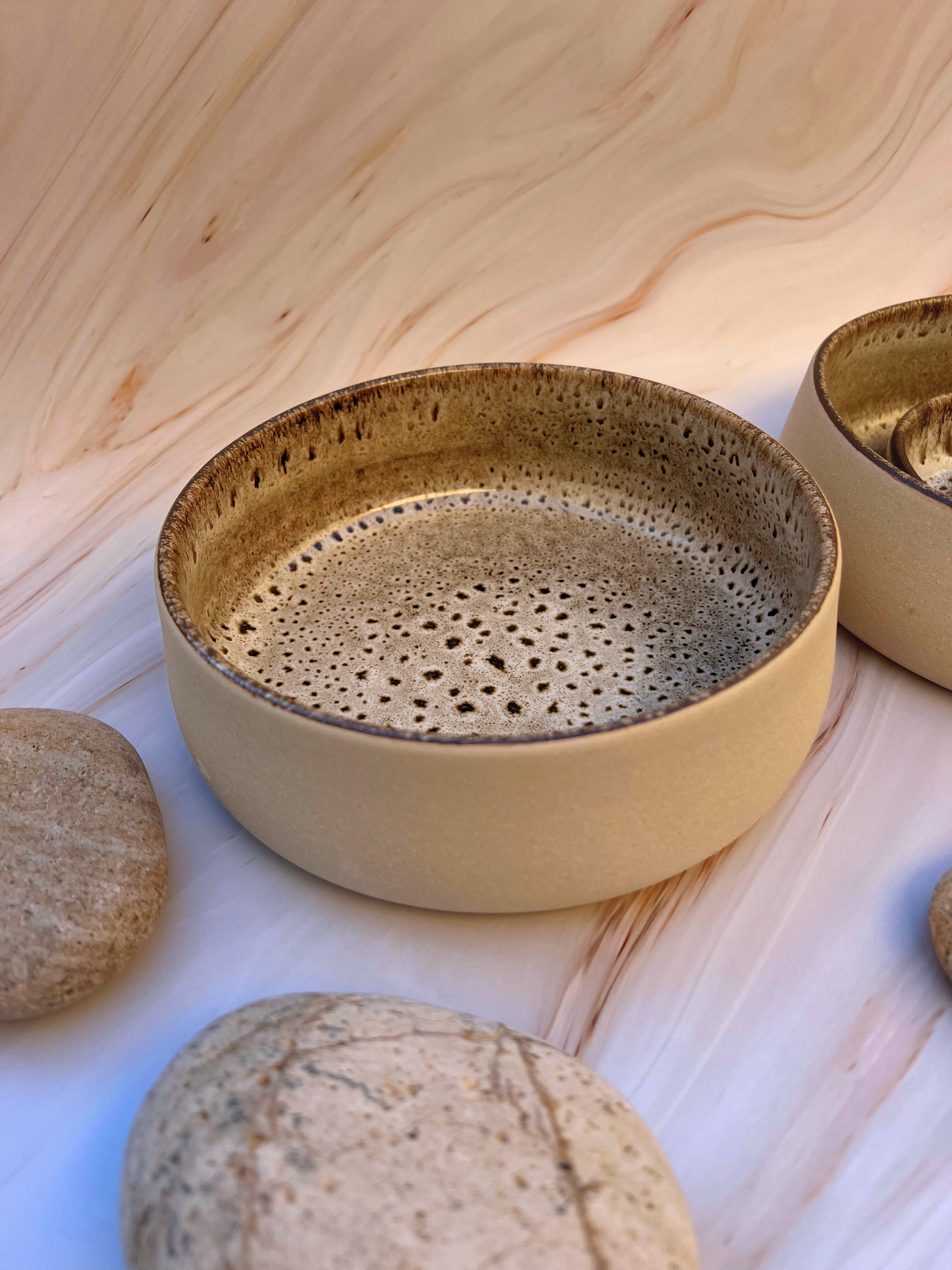 Ceramic Pet Water Bowl "Terra"