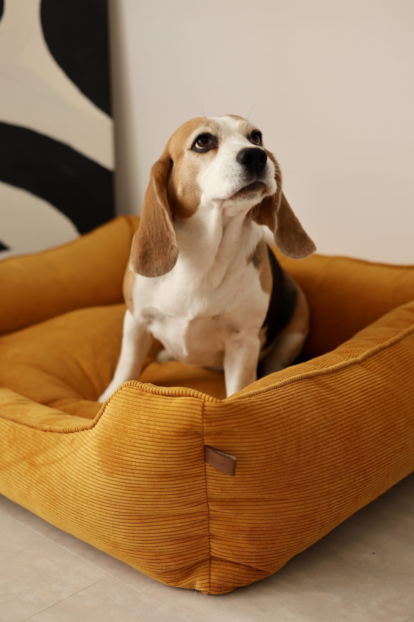 Zipped Couch Dog Bed CORY by FOFFINY