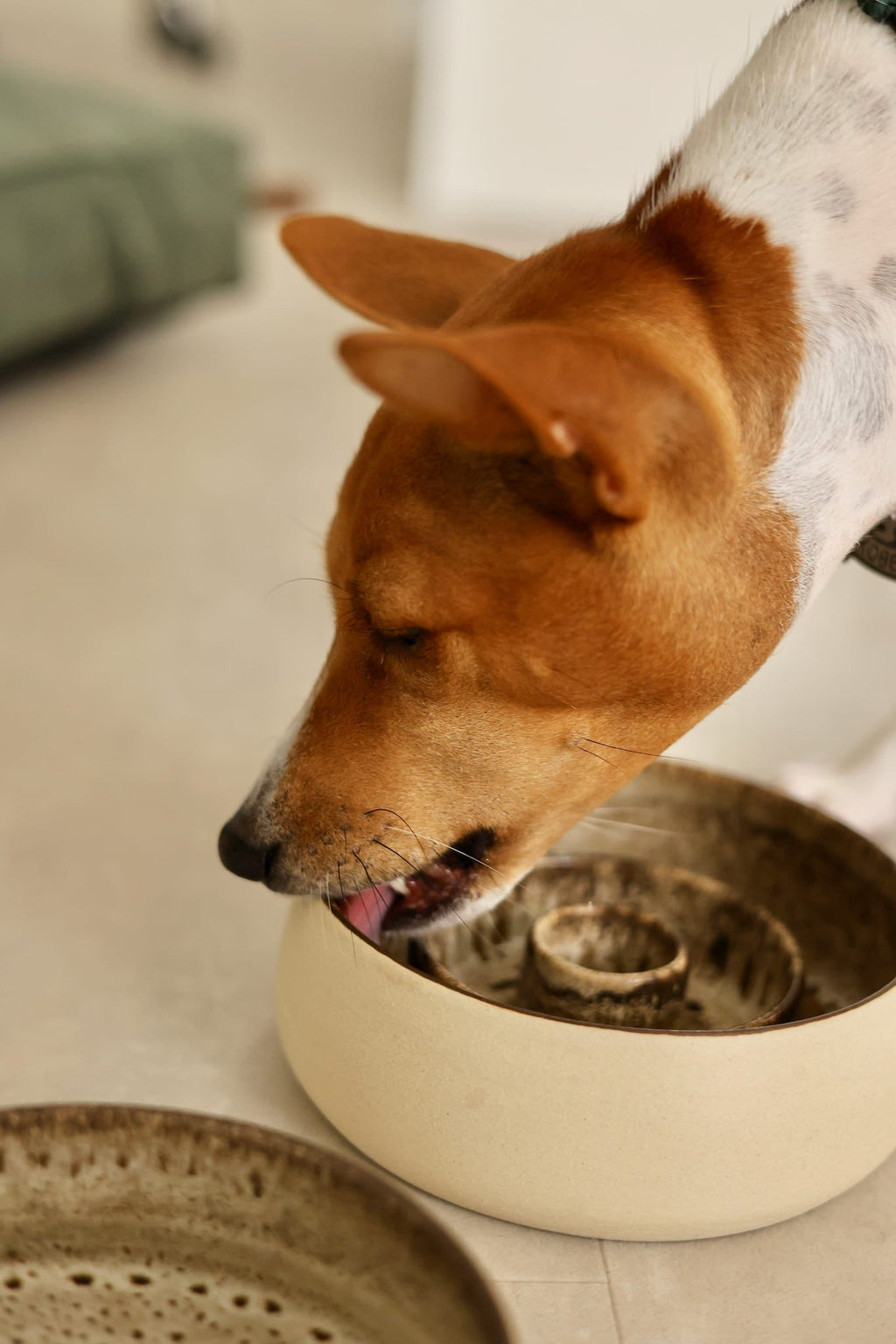 Slow feeder Handcrafted Ceramic Pet Bowl "Terra"