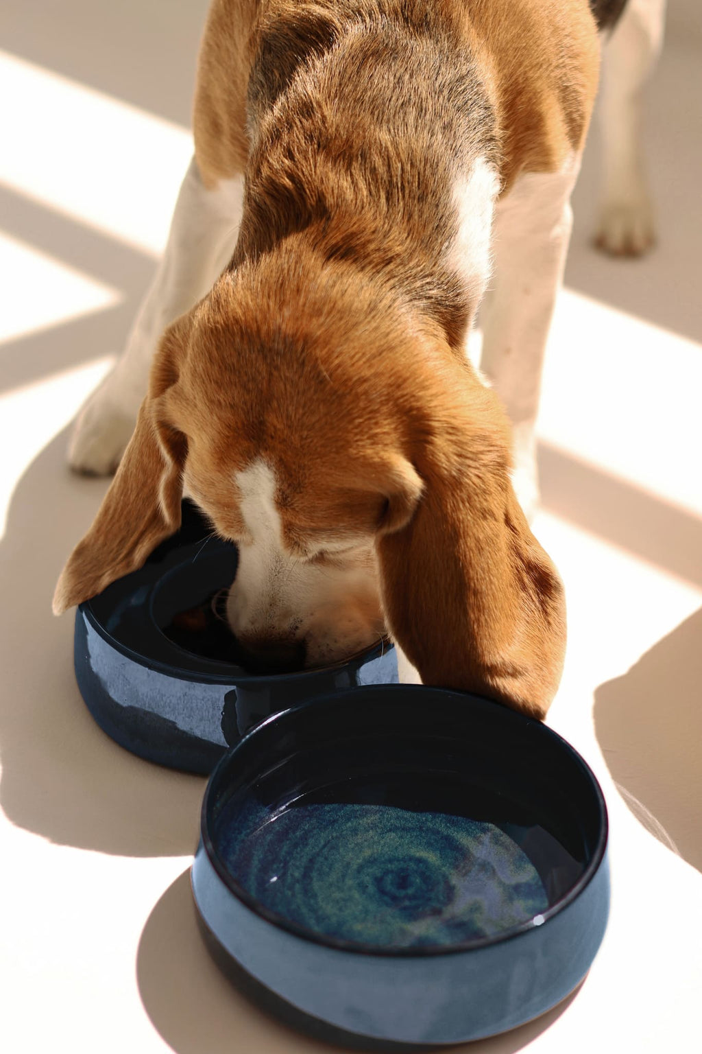 "Cosmic Blue" Pet Water Bowl