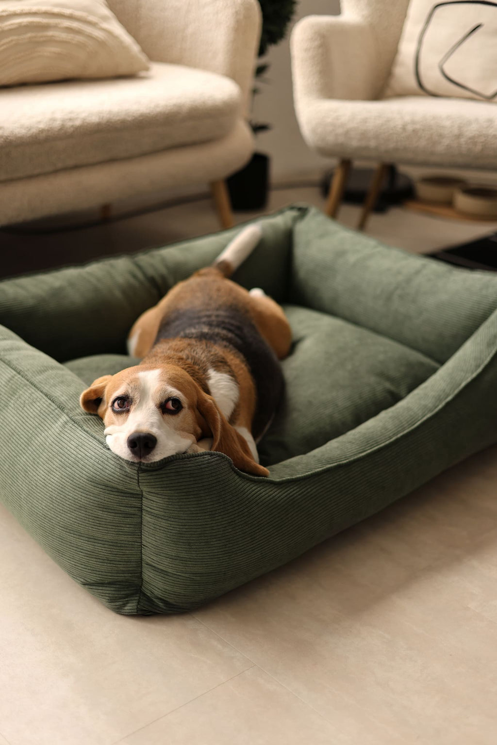 Washable dog bed CORY by FOFFINY