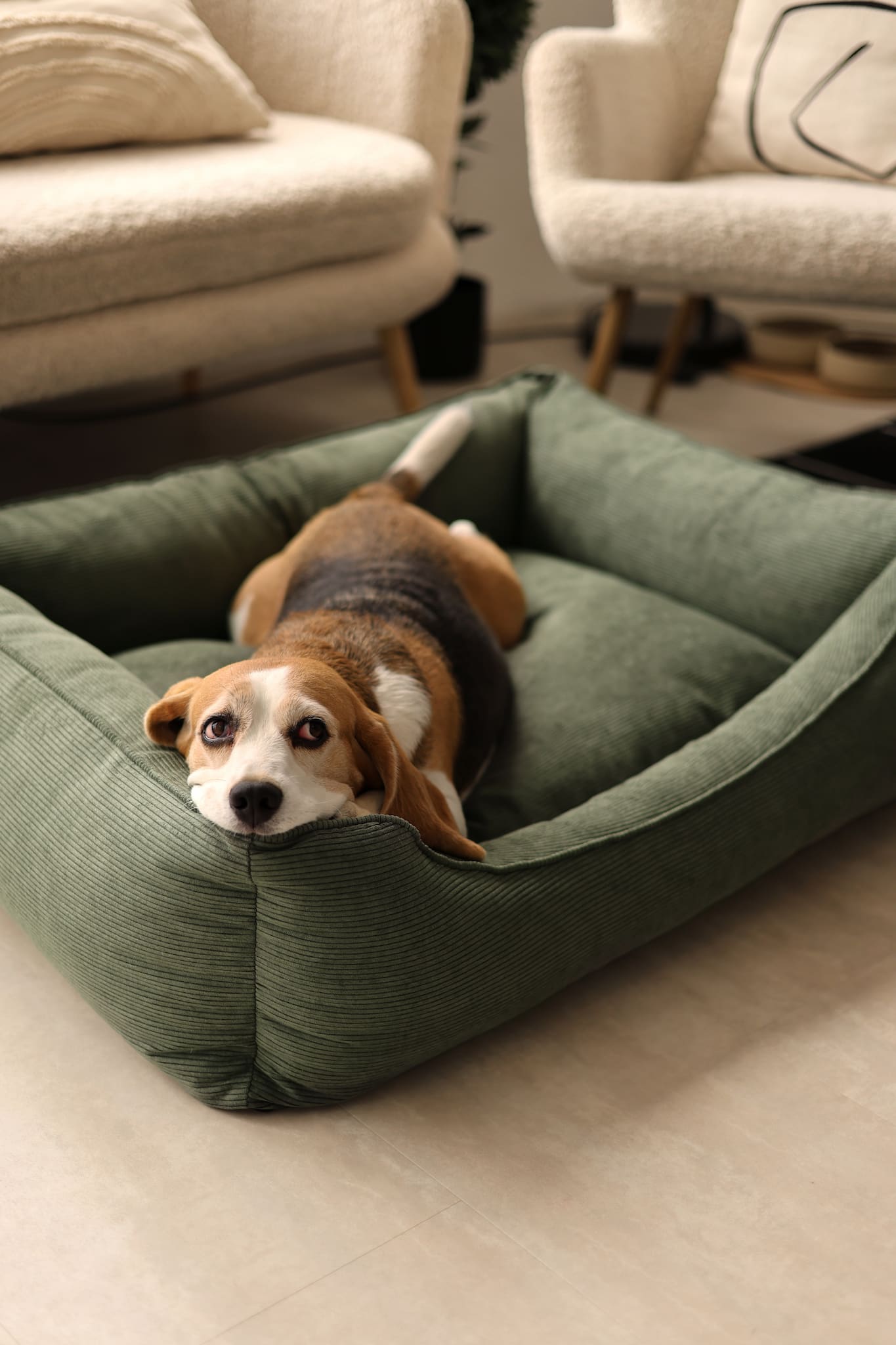 Washable dog bed CORY by FOFFINY