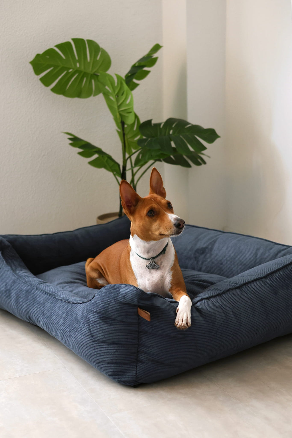 Sofa dog bed CORY by FOFFINY