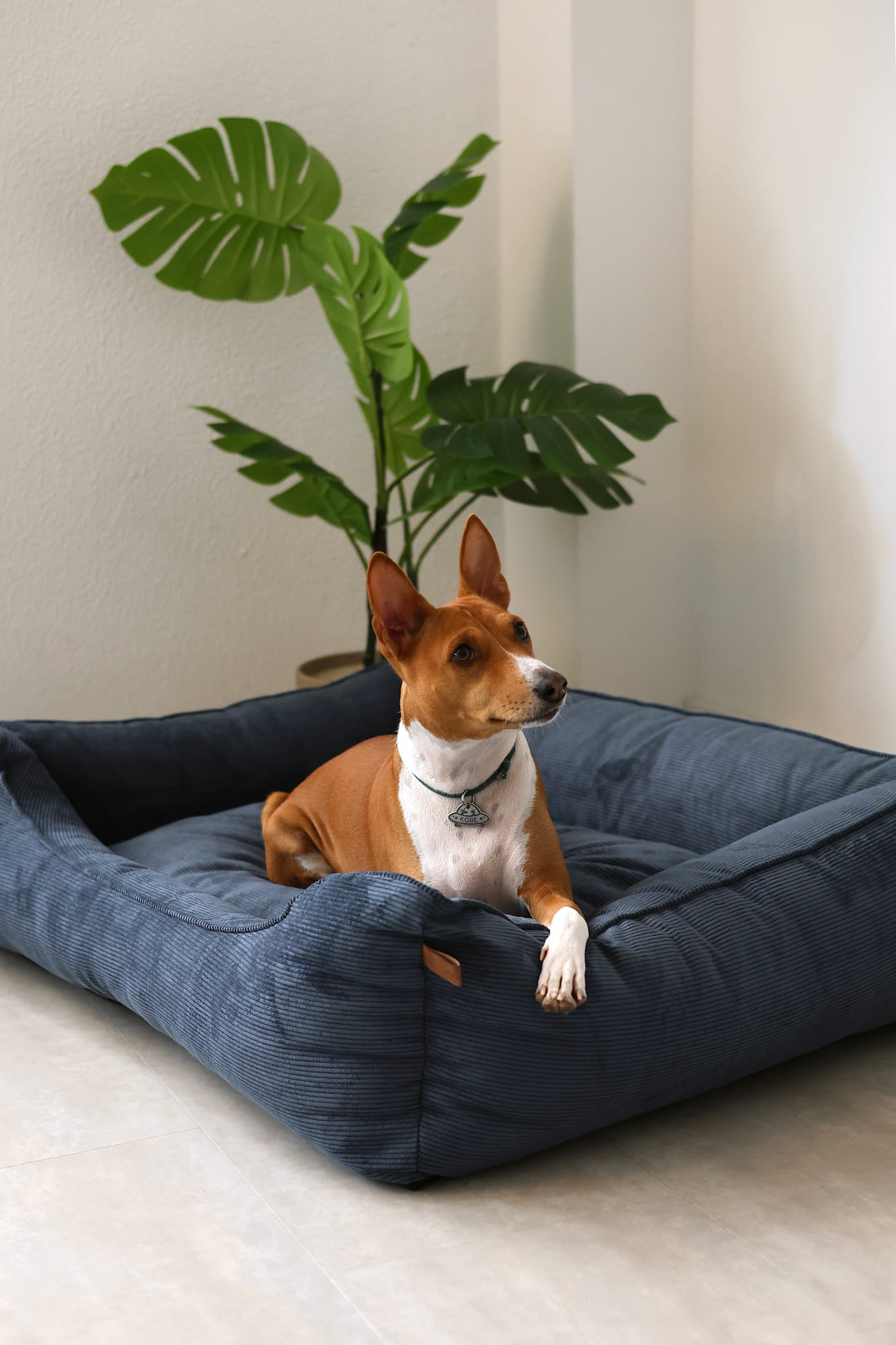 Sofa dog bed CORY by FOFFINY
