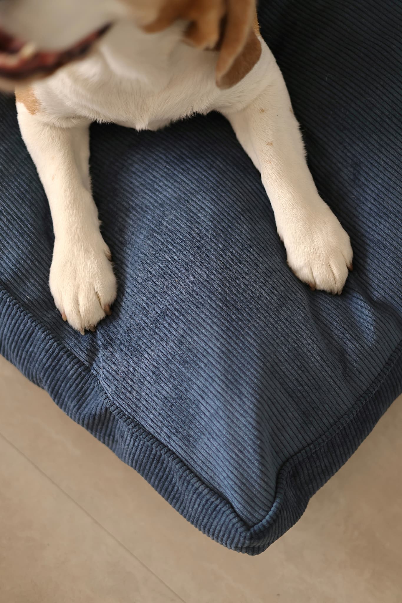 Corduroy Rectangular Dog Pillow Bed CORY by FOFFINY