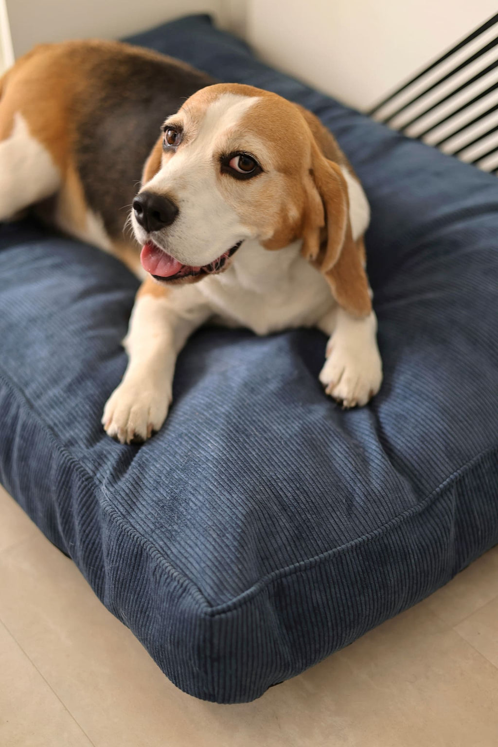 Corduroy Rectangular Dog Pillow Bed CORY by FOFFINY