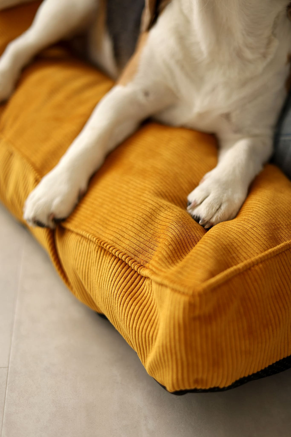 Padded Dog Mattress CORY — Premium Pet Cushion