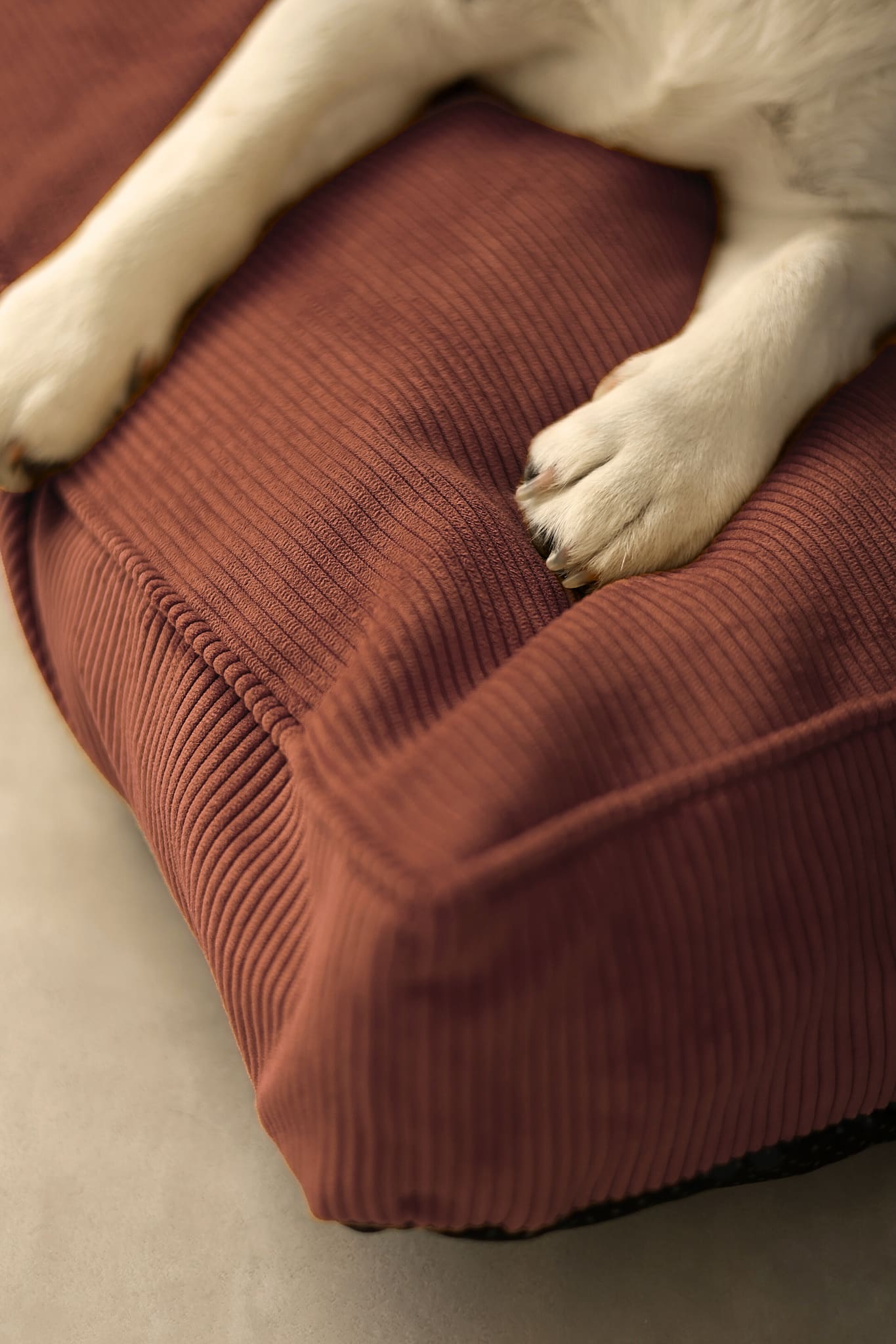 CORY Stylish Corduroy Dog Mattress — Dog Cushions Collection