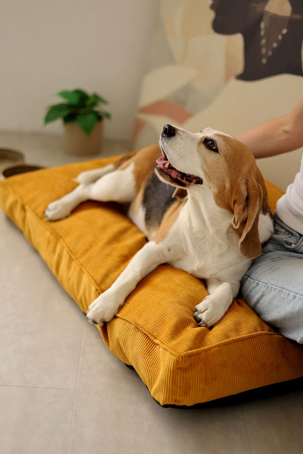 Padded Dog Mattress CORY — Premium Pet Cushion
