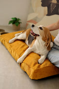 Padded Dog Mattress CORY — Premium Pet Cushion