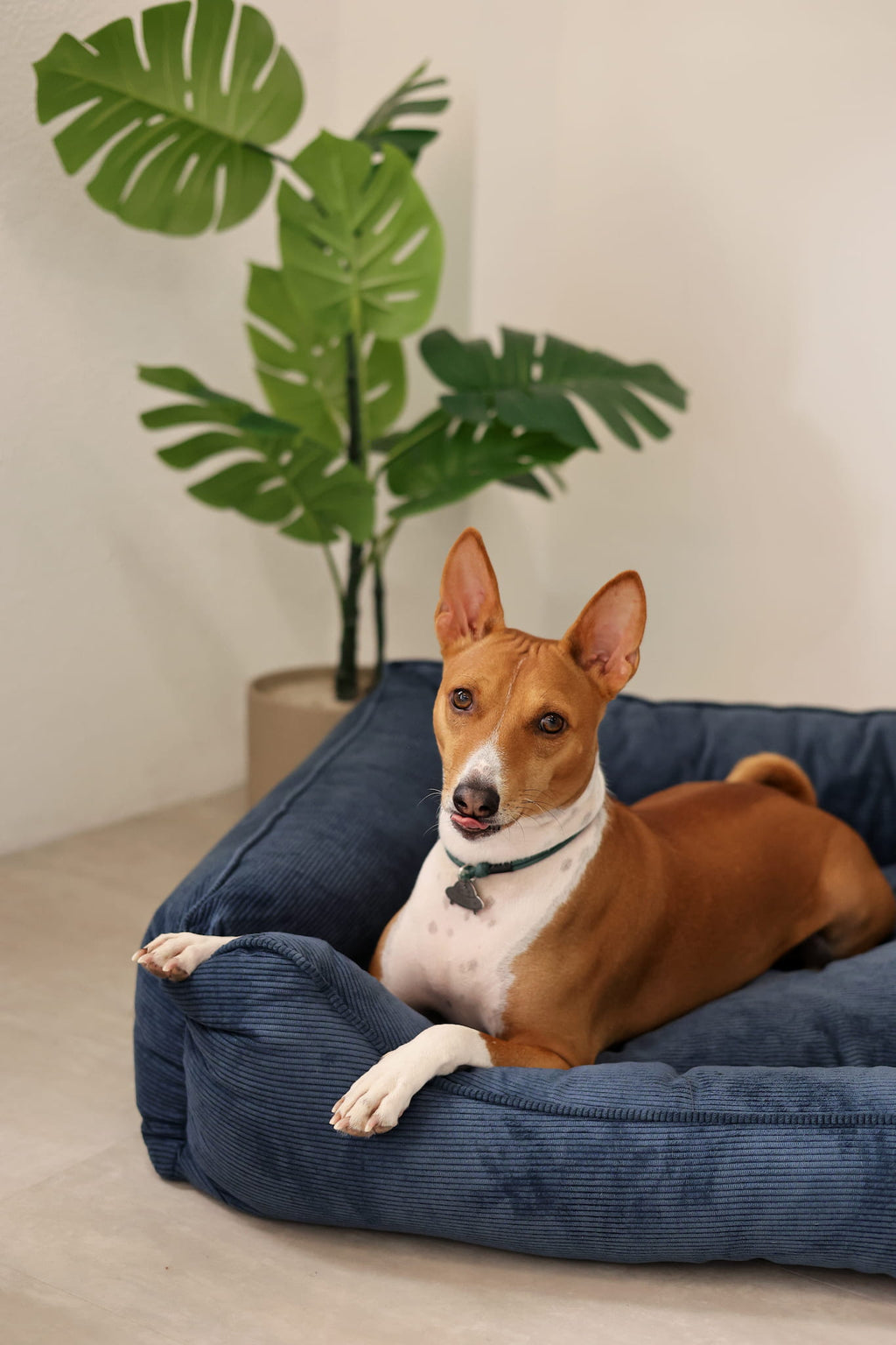 Sofa dog bed CORY by FOFFINY