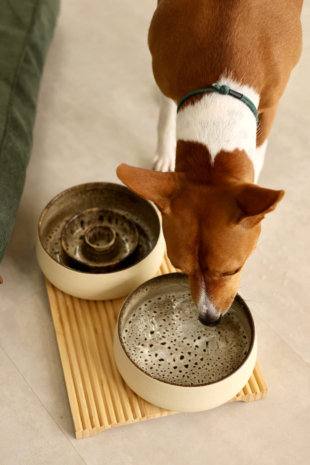 Ceramic Pet Water Bowl "Terra"