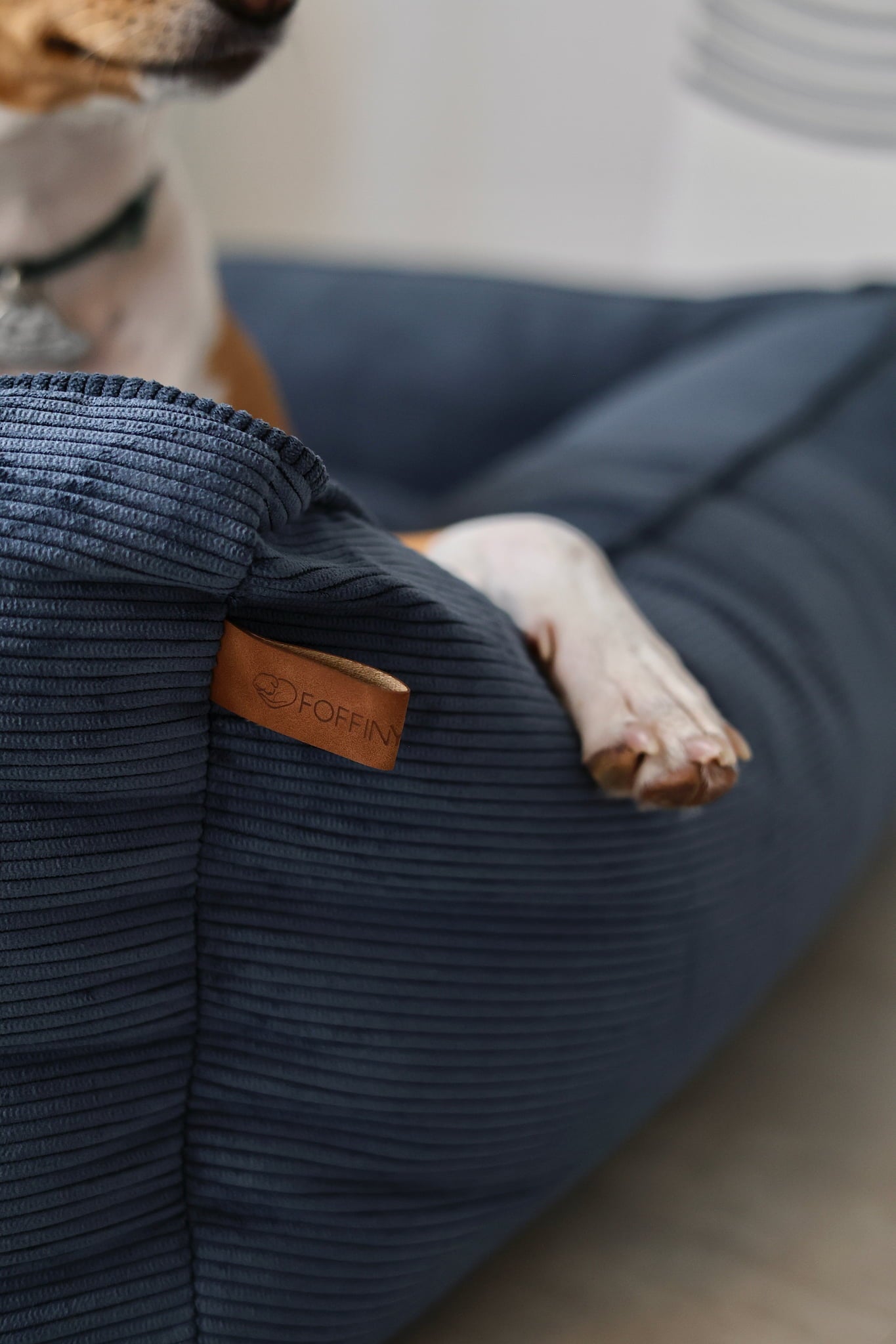 Sofa dog bed CORY by FOFFINY