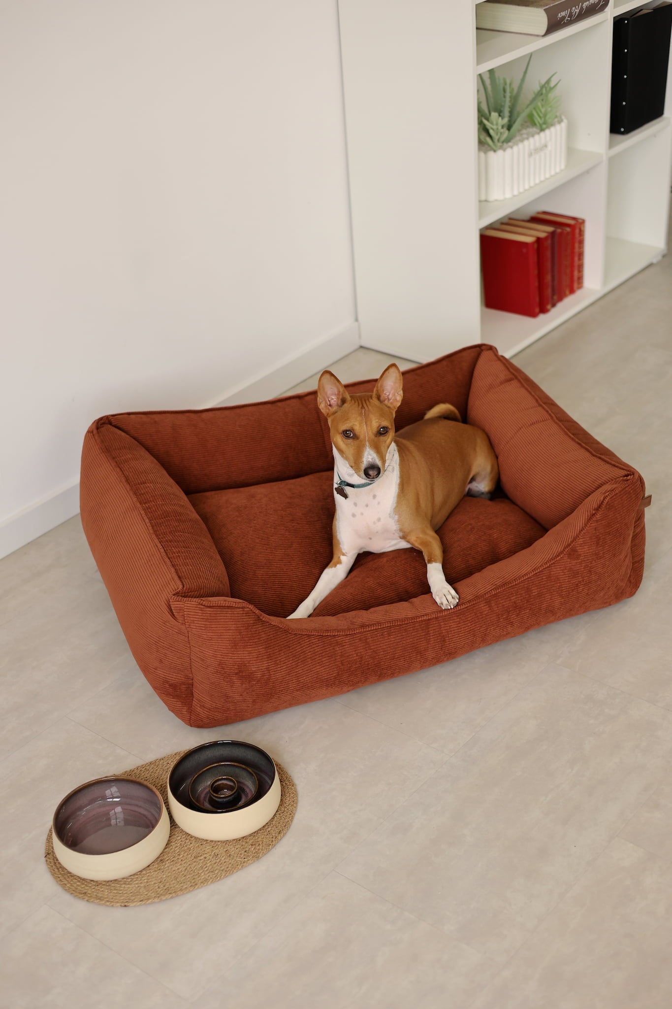 Bolster dog bed CORY by FOFFINY