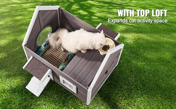 Premium Cedar Outdoor Cat House (22" x 30") – Weatherproof Wooden Feral Cat Shelter for Multiple Cats | Insulated, Raised Design, Escape Door & Asphalt Roof