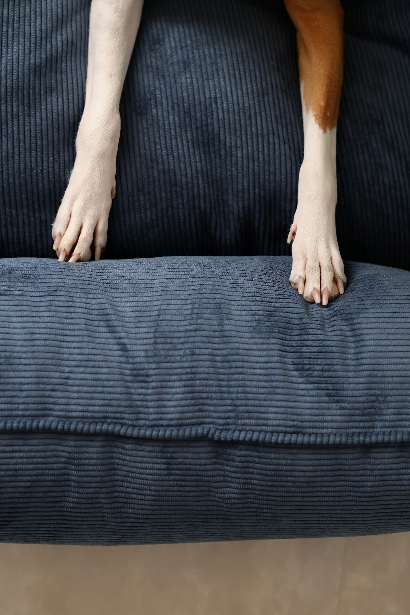 Sofa dog bed CORY by FOFFINY